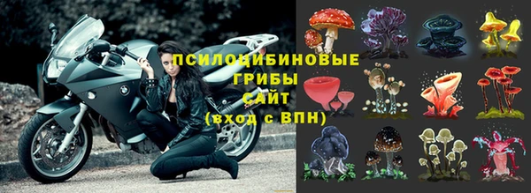 МДПВ Крымск