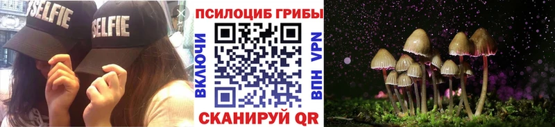 Галлюциногенные грибы Psilocybine cubensis  гидра как зайти  Новокузнецк 